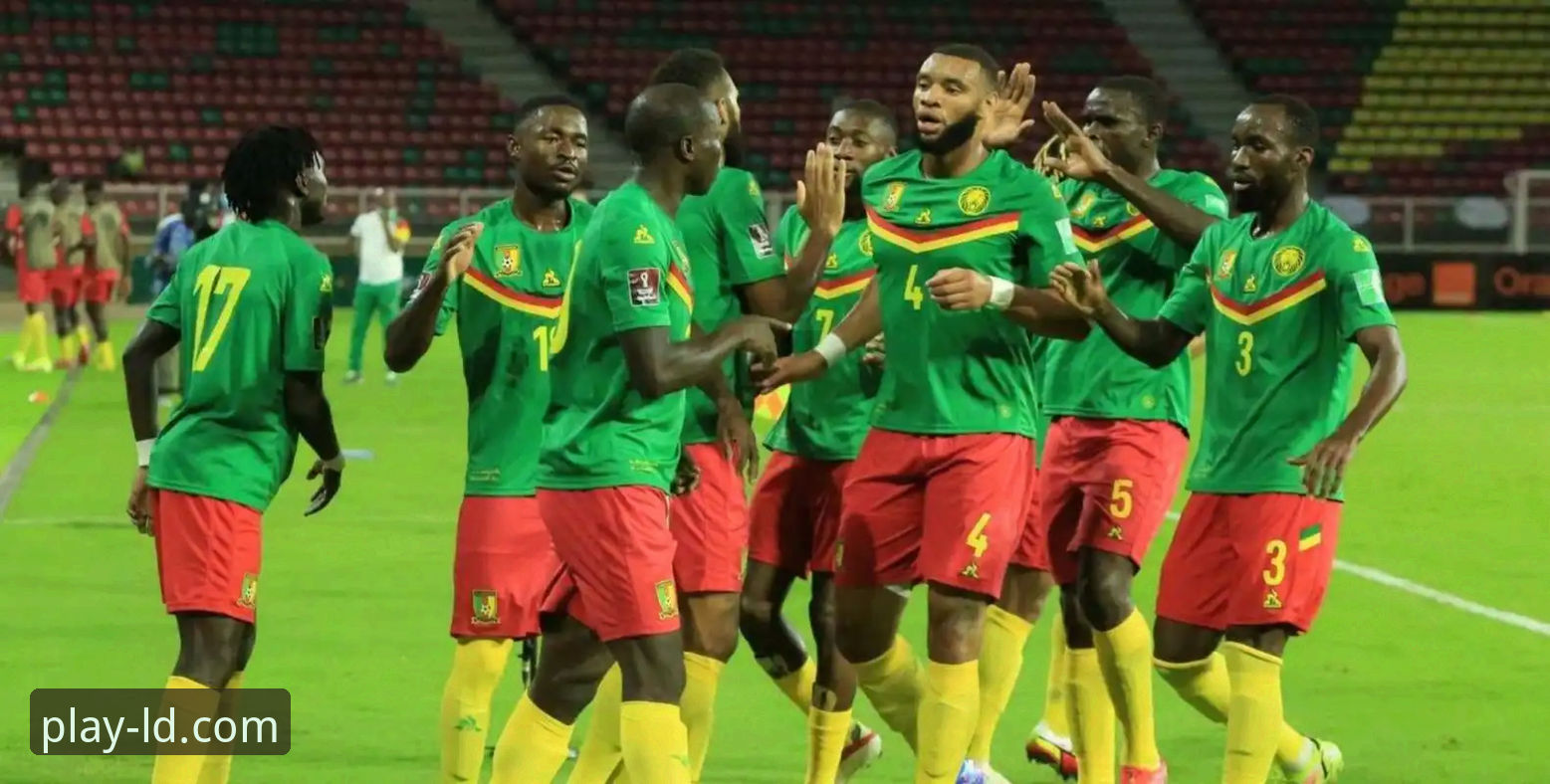 52年等待背后的绝杀真相：民主刚果重返世界杯，一场改变命运的加时赛